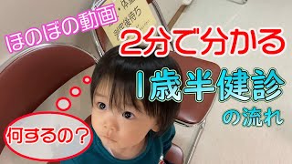 【1歳の日常76】生後1歳8か月17日　1歳半健診な、みぃ(1歳6か月児健康診査)