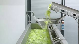 GEWA XL - Excellent washing results for large quantities of salad