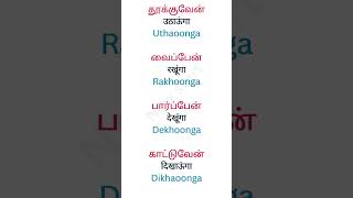 இந்தி வார்த்தைகள் தமிழில் |16/02/24 | Learn Hindi through Tamil | #shorts - 112