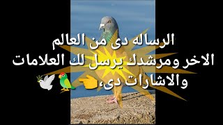 رسالة اليوم الرساله دى من العالم الاخر مرشدك يرسل لك علامه هامه 👈🕊️🦜