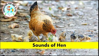 CHICKEN SOUNDS FOR KIDS | HEN SOUNDS FOR KIDS