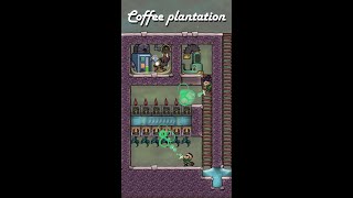 Coffee Farm / Pincha Peppernut Oxygen Not Included #shorts