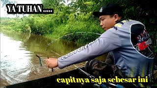 CAPITNYA SAJA SEBESAR JEMPOL ‼️INILAH UDANG GALAH TERBESAR SAYA MANCING DISUNGAI INI