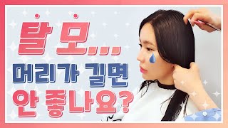 (*Eng) 탈모!? 머리가 짧아야 좋은가요?