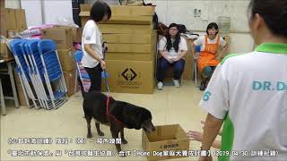 《心智刺激訓練》紀錄：(06) ~ 箱內嗅聞【Home Dog家庭犬養成計畫】2019.04.30