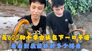 花600元和小李合伙包下一口干塘，看看到底能抓到多少鳝鱼？#户外抓鱼 #户外捕鱼 #乡村小罗 #乡村生活 #农村生活