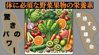 体に必須な野菜果物の栄養素（動画本）