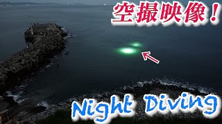 【ナイトダイビング】夜に潜る！？ライトトラップが幻想的！！空からナイトを見てみよう♪