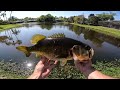 record day of pond fishing trophy bass caught