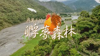 【山中傳奇】奧萬大楓紅雞 翻轉偏鄉部落｜華視新聞雜誌EP2318單元2 2022.06.10