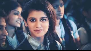 Priya Prakash Varriar Vs Bhuban Bam Funny Video || BB KI VINES ||