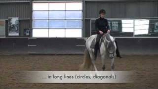 Horse training - Dressage horse - Academic art of riding