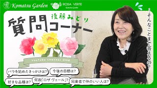 【Q&A】後藤みどりへの質問コーナー