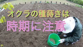 【オクラ】家庭菜園でも使えるオクラの種蒔きの方法。植える時期に注意。2022.04.16 。Japanese Weekend Farmer