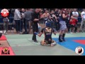 mp mma 2016 pk 66 kg pająk w vs widuliński d