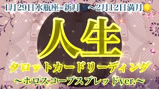 【新月🌑人生】1月29日水瓶座♒︎新月🌚〜2月12満月🌝までの皆様の人生をテーマにホロスコープスプレッドver.タロットカードリーディングをさせていただきました🐉楽しんでご覧ください🕊️