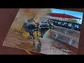 Kambala Painting Timelapse