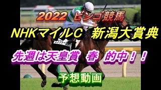 2022【NHKマイルC】【新潟大賞典】【競馬予想】（2022/05/07）　G1 2連勝狙います！！