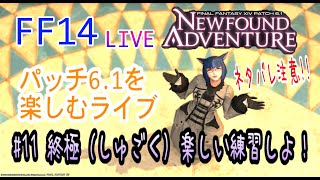 【FF14】＃11 パッチ6.1をマルっと楽しみたいわけょ！【終極クリア回数１】