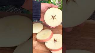 ASMR Apple cutting #viralshort #shorts #apple #satisfyingfruitcutting #shortvideo #asmr #asmrvideo