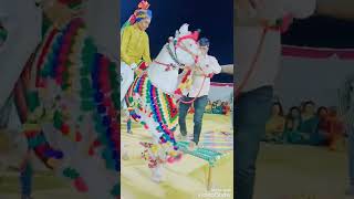 kathiyawadi ghodi | ઘોડી ના વિડીયો | ઘોડી નો ડાન્સ | horse dance | મોરલ અશ્વ ફાર્મ લવરડા