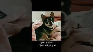 통통 튀는 매력의 그녀