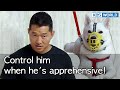 Control him when he's apprehensive! [Dogs are incredible : EP.139-2] | KBS WORLD TV 220913