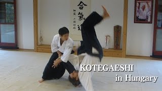 【Aikido】Shirakawa Ryuji sensei ‐ Kotegaeshi in Hungary