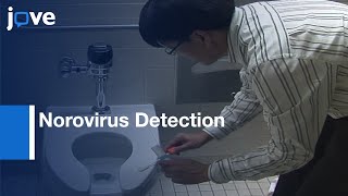 Norovirus Detection by Swab Sampling form Surfaces | Protocol Preview