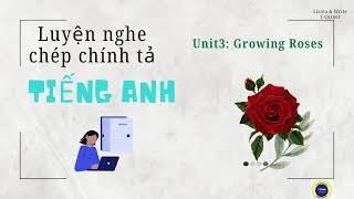 Luyện nghe chép chính tả tiếng Anh | Book 1 - Level 1 - Unit 3