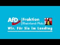 heribert friedmann afd zu einsetzung des operschutzbeauftragten