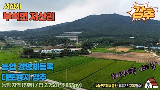 매물번호 599 【농막용지매매】매매가 5.800만 면적 2.754㎡2차선 인접 농림 (진흥)경영체등록.대토용지 강추매물 #하우스 #전원주택매매 #농가