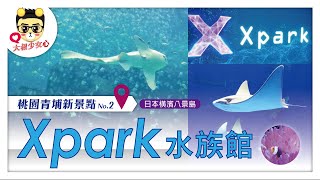 Xpark水族館 最佳少女心知識性景點一日漫遊指南