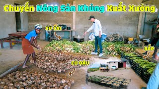 Quanglinhvlogs || Chuyến Nông Sản Khủng Đầu Năm Xuất Xưởng, Hứa Hẹn Bội Thu.