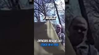 Officers RESCUE a cat stuck in a tree 🥺 #cops #police #cats