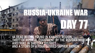 44 dead bodies found in Kharkiv region and a story of a four-legged sapper Patron #123 | May, 11