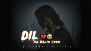 😭Na Bhula Saka💔 ( DiL ) - LoFi- SLOWED - Ek Villan Return