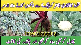 Intercropping of Beetroot Cabbage and Cauliflower | How to grow multiple crops at one place