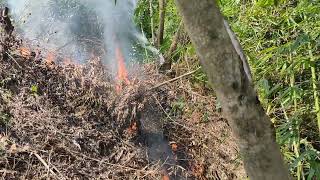 jhum kheti (shifting cultivation)