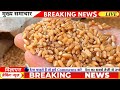 14 जनवरी 2024 गेहूँ का भाव गेहूँ के भाव में तूफानी तेजी देखें भाव gehu ka bhav wheat rate today