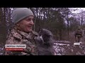 🐱❤️ Повз такого не пройдуть Кордон із Білоруссю захищає бойовий кіт