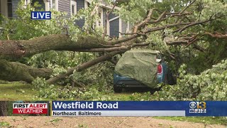 Severe storms knock down trees, damage homes in Northeast Baltimore