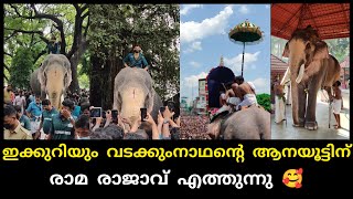 ഇക്കുറിയും കർക്കിടകം ആനയൂട്ടിന് വടക്കുംനാഥ സന്നിധിയിൽ രാമ രാജാവും. | Thechikottukavu Ramachandran |