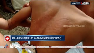 യുദ്ധസ്മരണ ഉണർത്തി പല്ലശ്ശനയിൽ ഓണത്തല്ല്