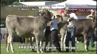 spot mostra arborea 2016