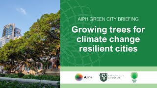 Growing trees for climate change resilient cities