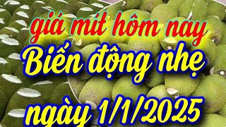 giá mít hôm nay ngày 1/1/2025