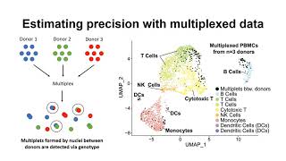 ATAC-DoubletDetector: Multiplet detection in... - Asa Thibodeau - HitSeq - Poster - ISMB/ECCB 2021