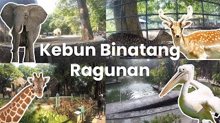 Main ke Kebun Binatang Ragunan