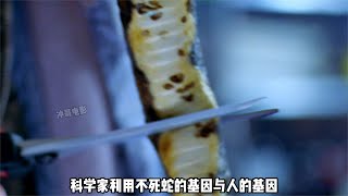 一條殺不死的蛇與人類基因結合會合成一個什么怪物 #电影 #电影解说 #影视 #影视解说 #剧情